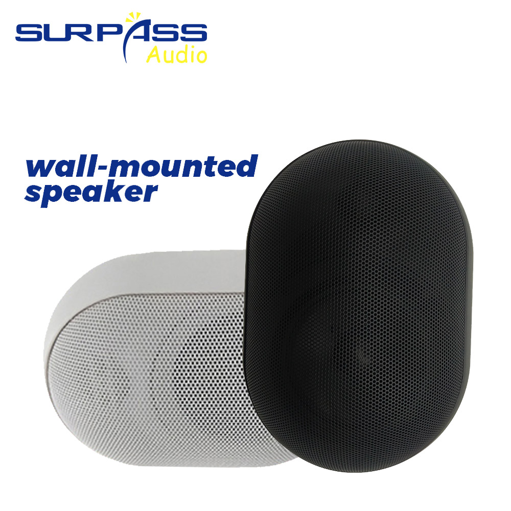 Audio Music Background Free - 30W Wall-mounted Speaker Waterproof IP55 Public