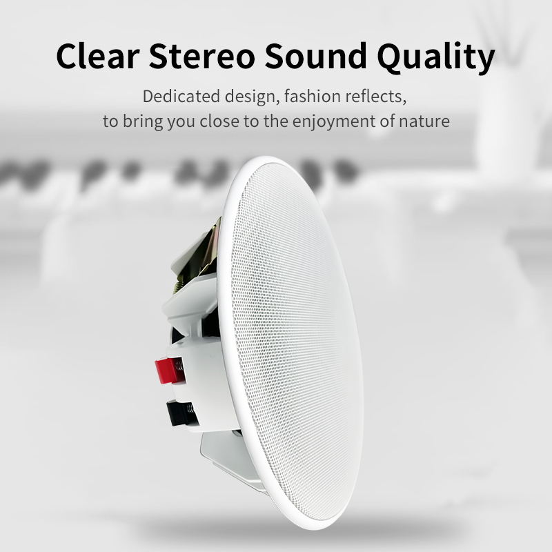 6 Inch 8ohm Ceiling Speaker Fu - đánh giá và giá Audio Music Background Free