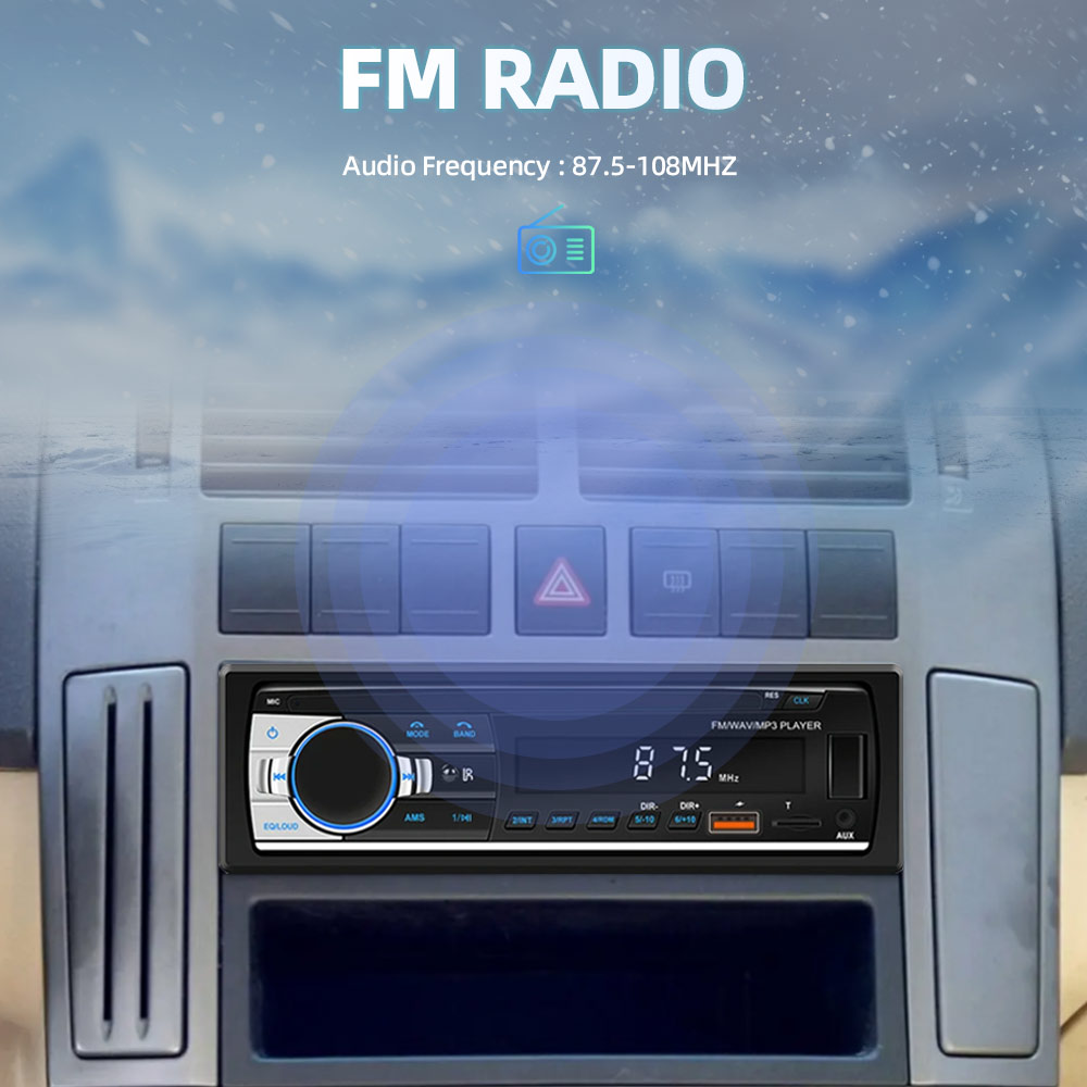 Car Radio 1 din Stereo Multime - đánh giá và giá Metronome Digital