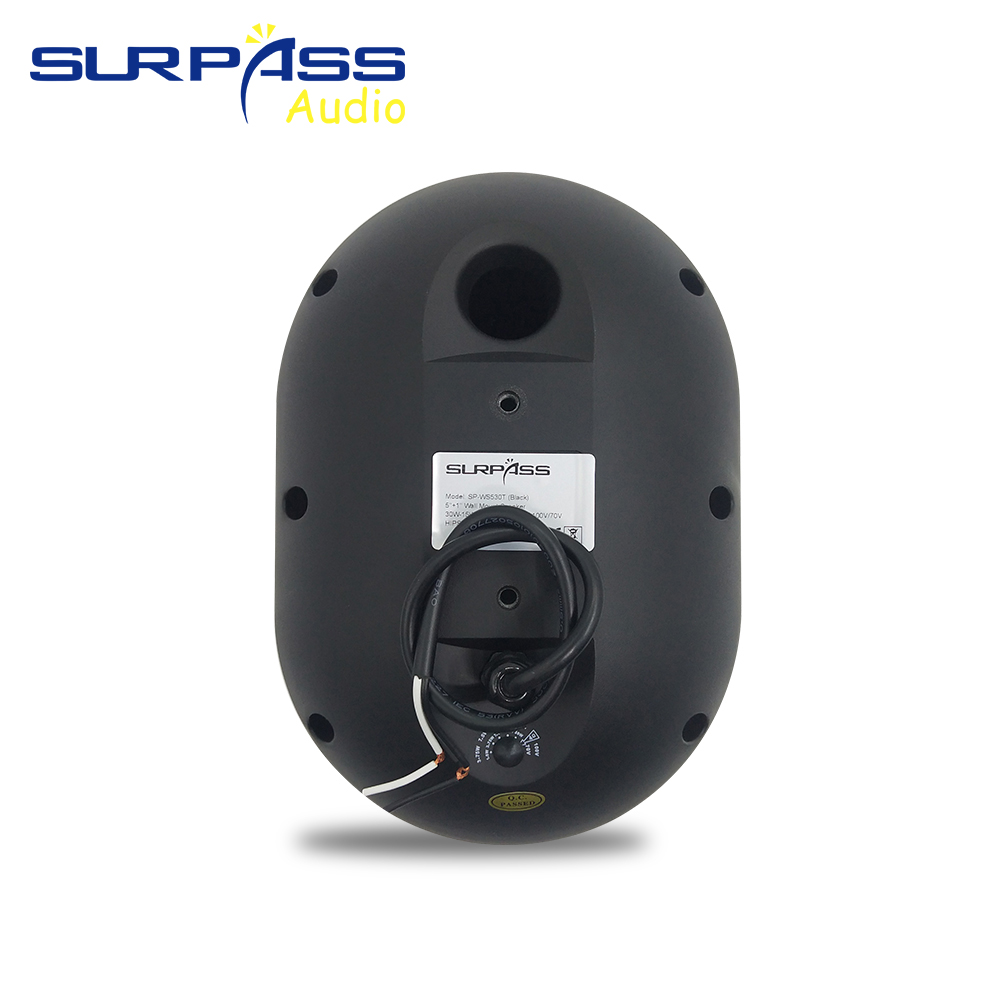30W Wall-mounted Speaker Water - đánh giá và giá Audio Music Background Free