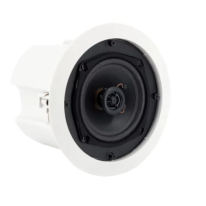 Waterproof WiFi Bluetooth Ceil - đánh giá và giá Audio Music Background Free