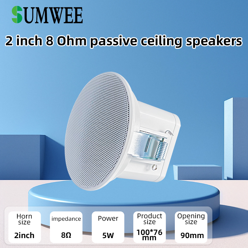 2Inch Mini 8 Ohm Ceiling Speak - đánh giá và giá Audio Music Background Free
